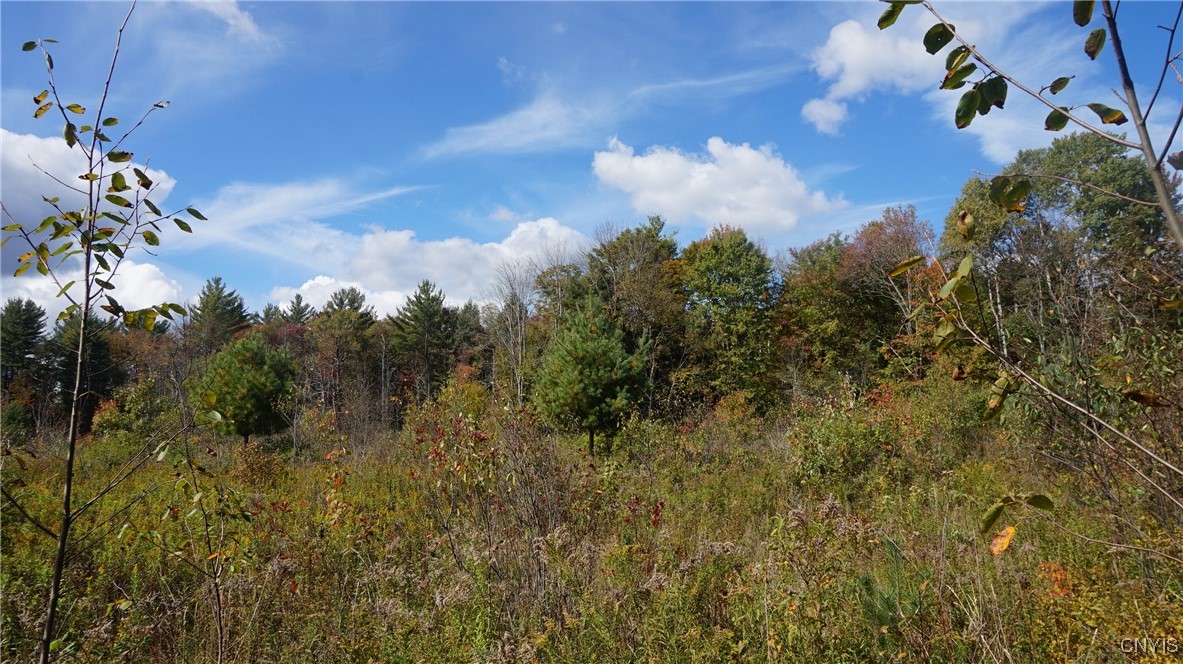 0 Mc Caw Road Redfield, NY 13437 - Photo 16 of 30