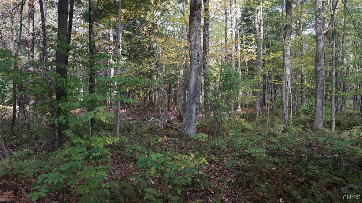 0 Mc Caw Road Redfield, NY 13437 - Photo 17 of 30