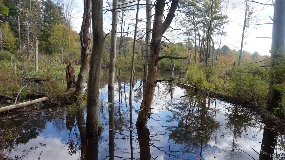 0 Mc Caw Road Redfield, NY 13437 - Photo 18 of 30