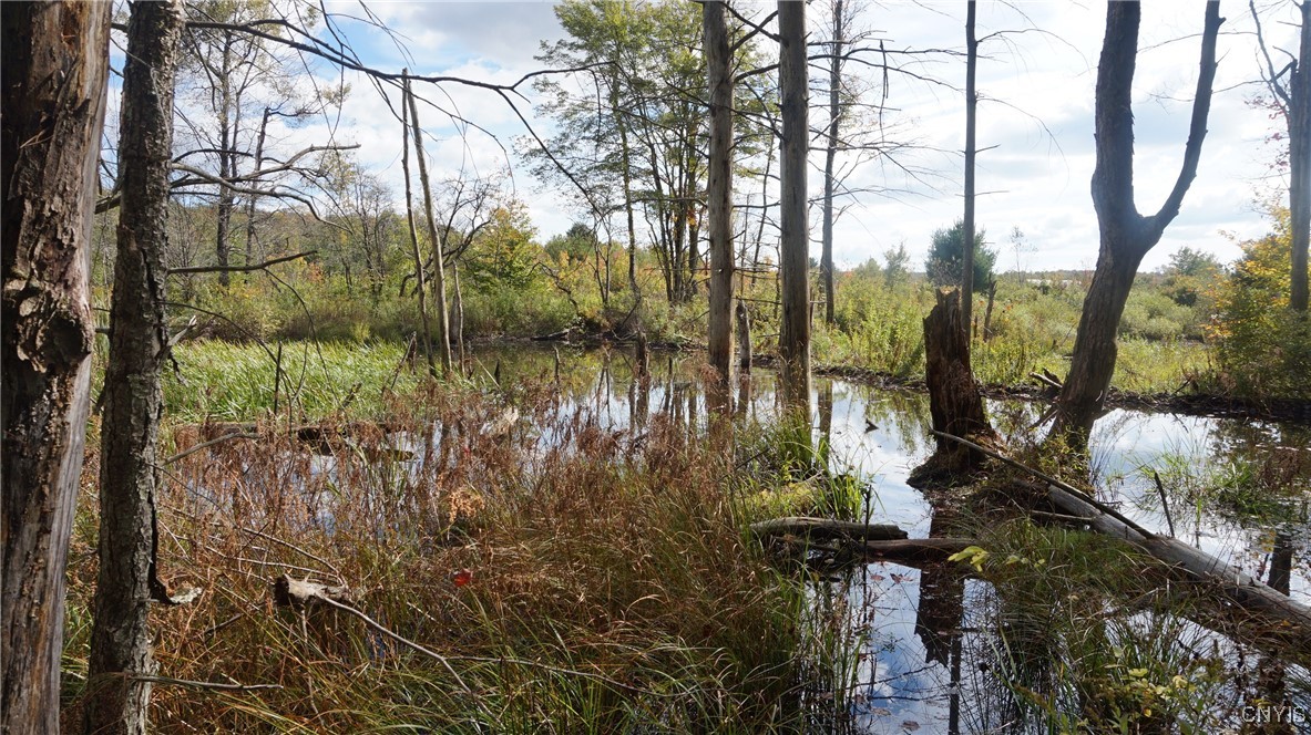 0 Mc Caw Road Redfield, NY 13437 - Photo 19 of 30