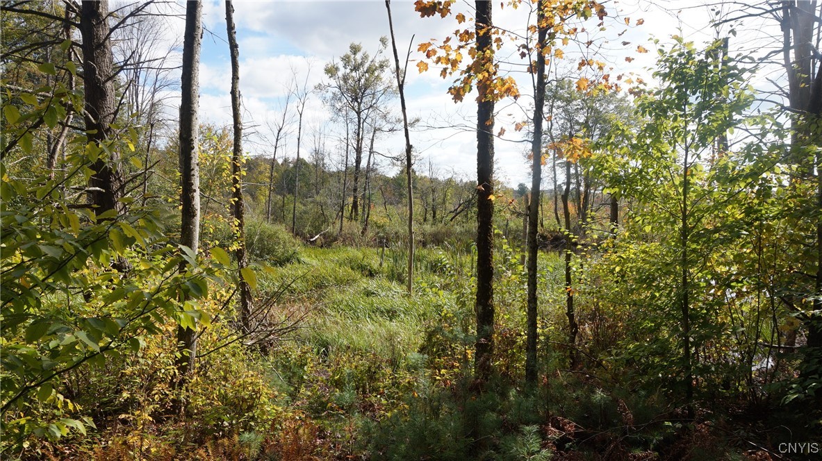 0 Mc Caw Road Redfield, NY 13437 - Photo 20 of 30