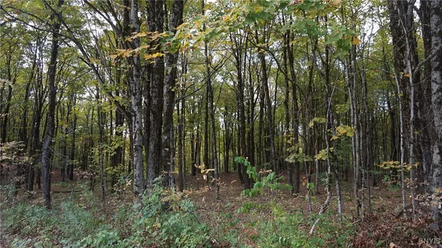 $69,900 | 0 Mc Caw Road, Redfield, NY 13437