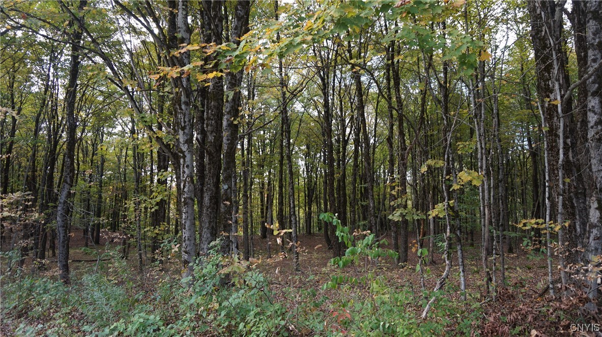 0 Mc Caw Road Redfield, NY 13437 - Photo 2 of 30