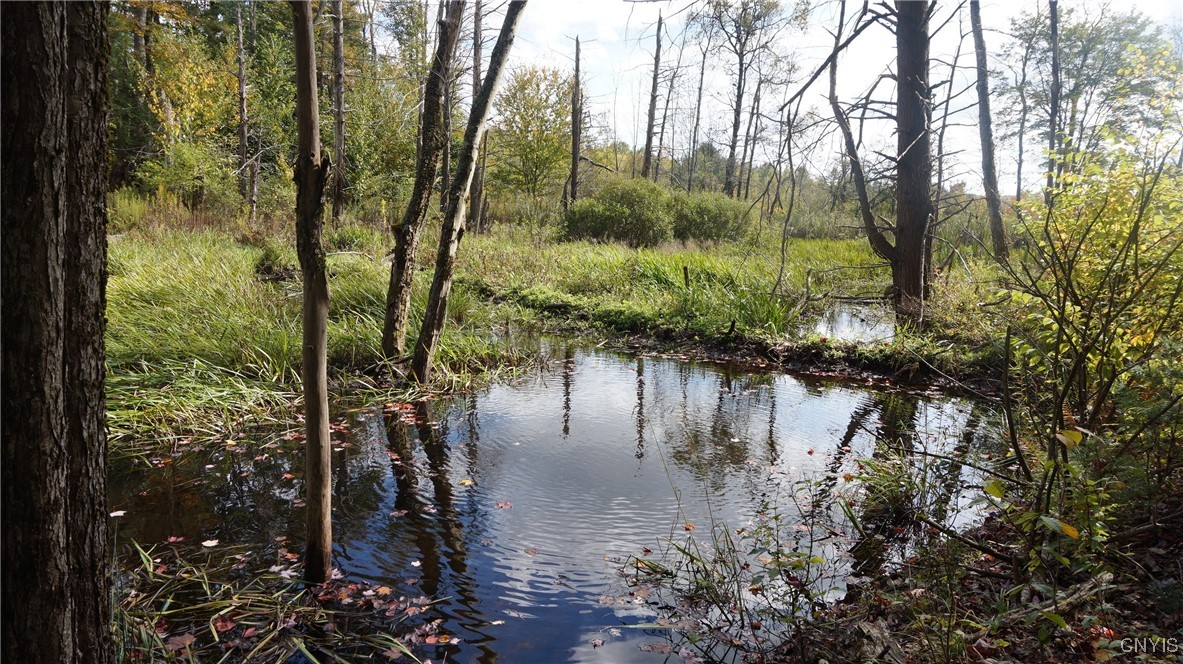 0 Mc Caw Road Redfield, NY 13437 - Photo 21 of 30