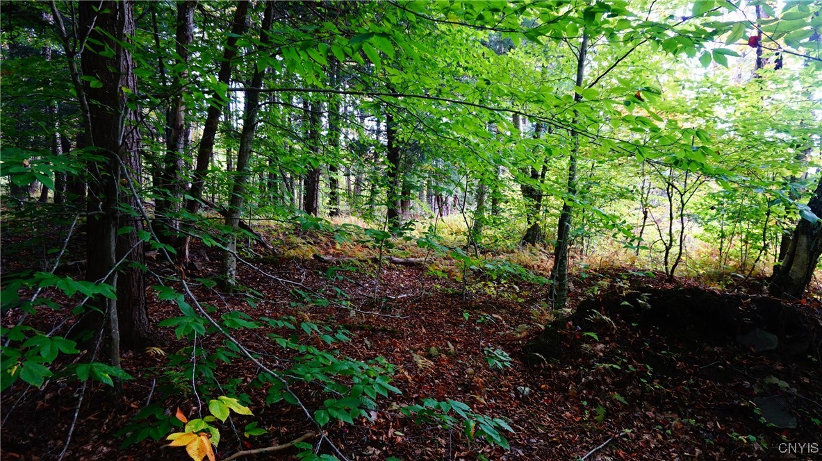 0 Mc Caw Road Redfield, NY 13437 - Photo 22 of 30