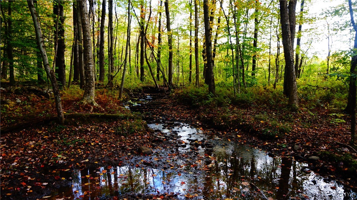 0 Mc Caw Road Redfield, NY 13437 - Photo 23 of 30