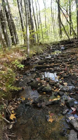 $69,900 | 0 Mc Caw Road, Redfield, NY 13437