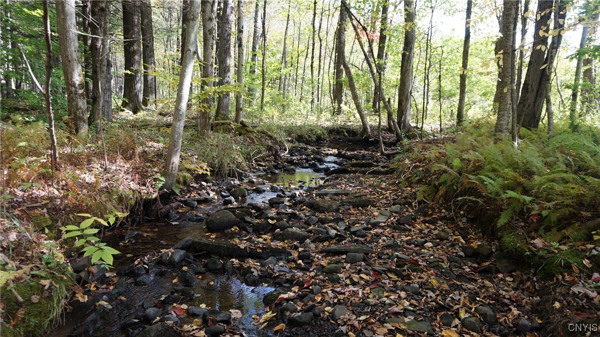 0 Mc Caw Road Redfield, NY 13437 - Photo 25 of 30