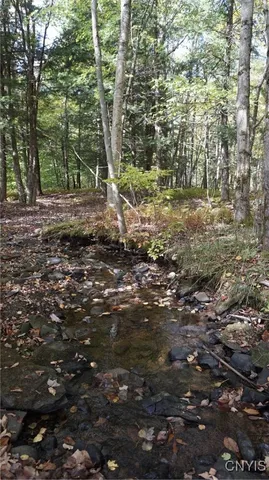 $69,900 | 0 Mc Caw Road, Redfield, NY 13437