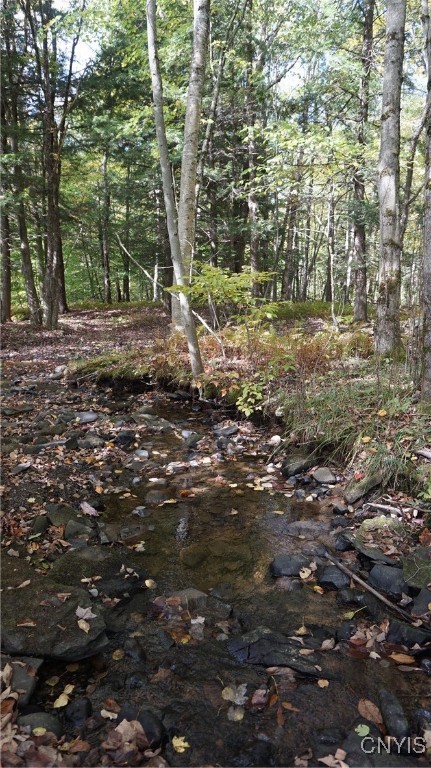 0 Mc Caw Road Redfield, NY 13437 - Photo 26 of 30