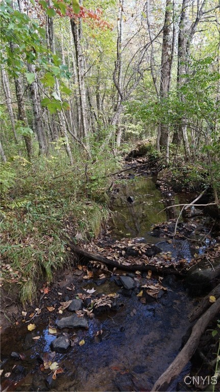 0 Mc Caw Road Redfield, NY 13437 - Photo 27 of 30