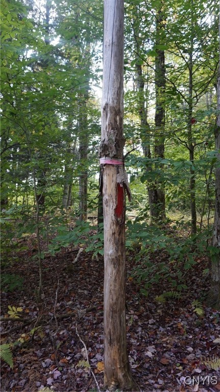 0 Mc Caw Road Redfield, NY 13437 - Photo 28 of 30 back line marked