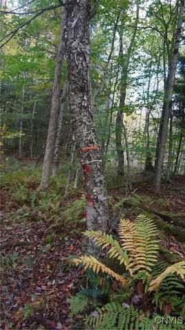 $69,900 | 0 Mc Caw Road, Redfield, NY 13437