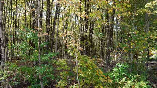 $69,900 | 0 Mc Caw Road, Redfield, NY 13437