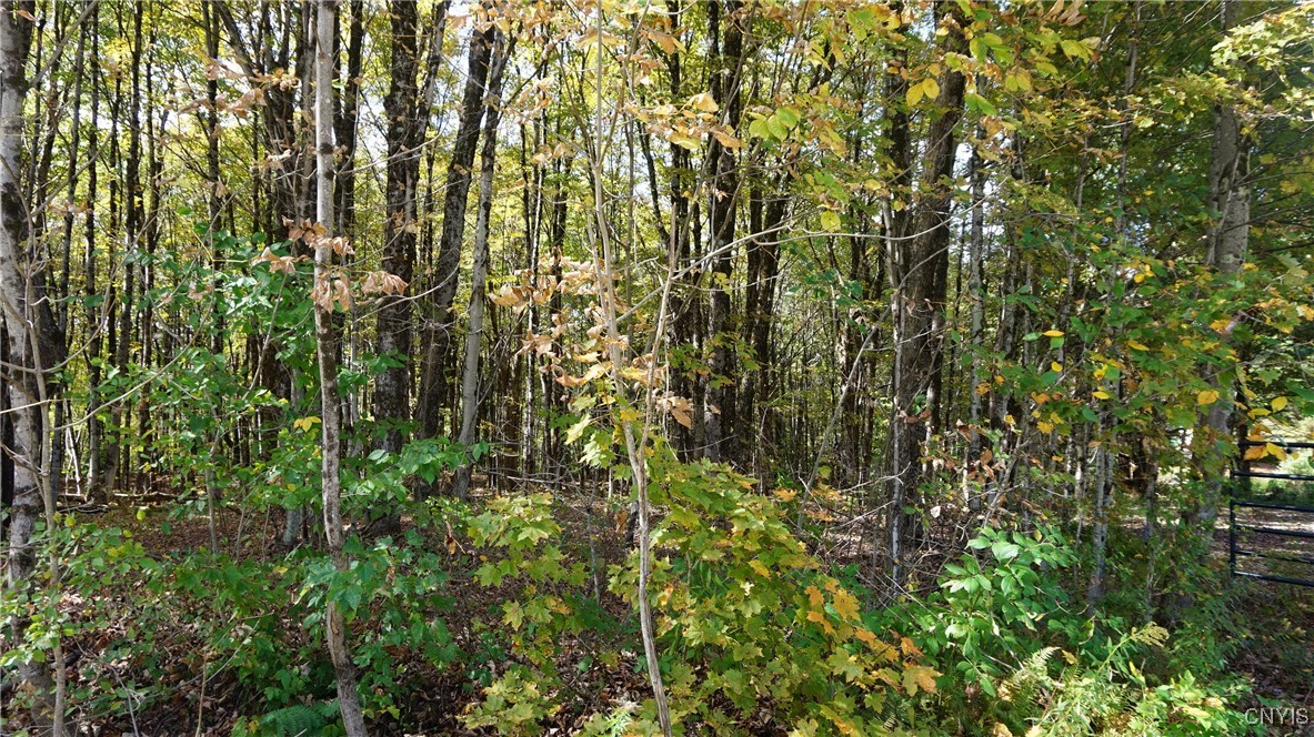 0 Mc Caw Road Redfield, NY 13437 - Photo 3 of 30