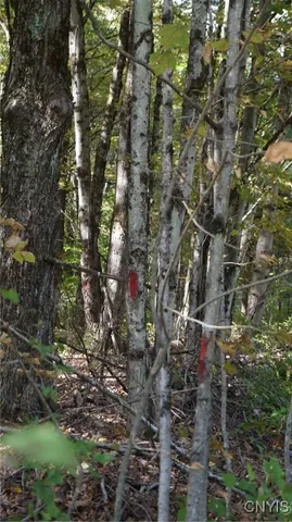 $69,900 | 0 Mc Caw Road, Redfield, NY 13437