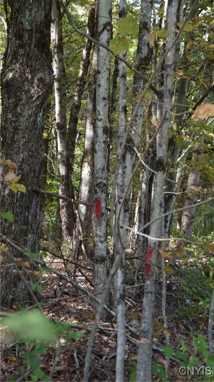 0 Mc Caw Road Redfield, NY 13437 - Photo 4 of 30 front right corner marked