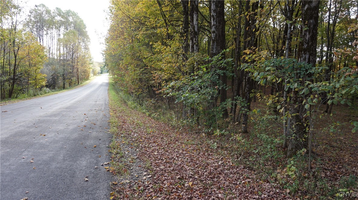 0 Mc Caw Road Redfield, NY 13437 - Photo 5 of 30 road frontage