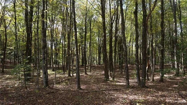 $69,900 | 0 Mc Caw Road, Redfield, NY 13437