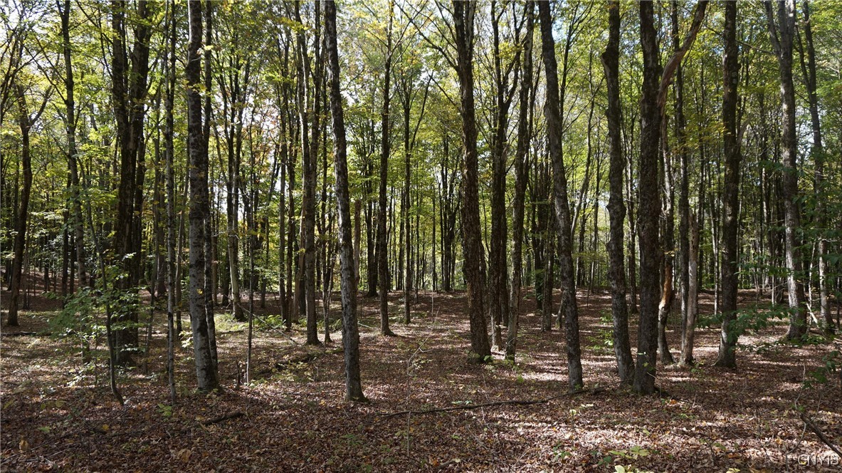 0 Mc Caw Road Redfield, NY 13437 - Photo 6 of 30