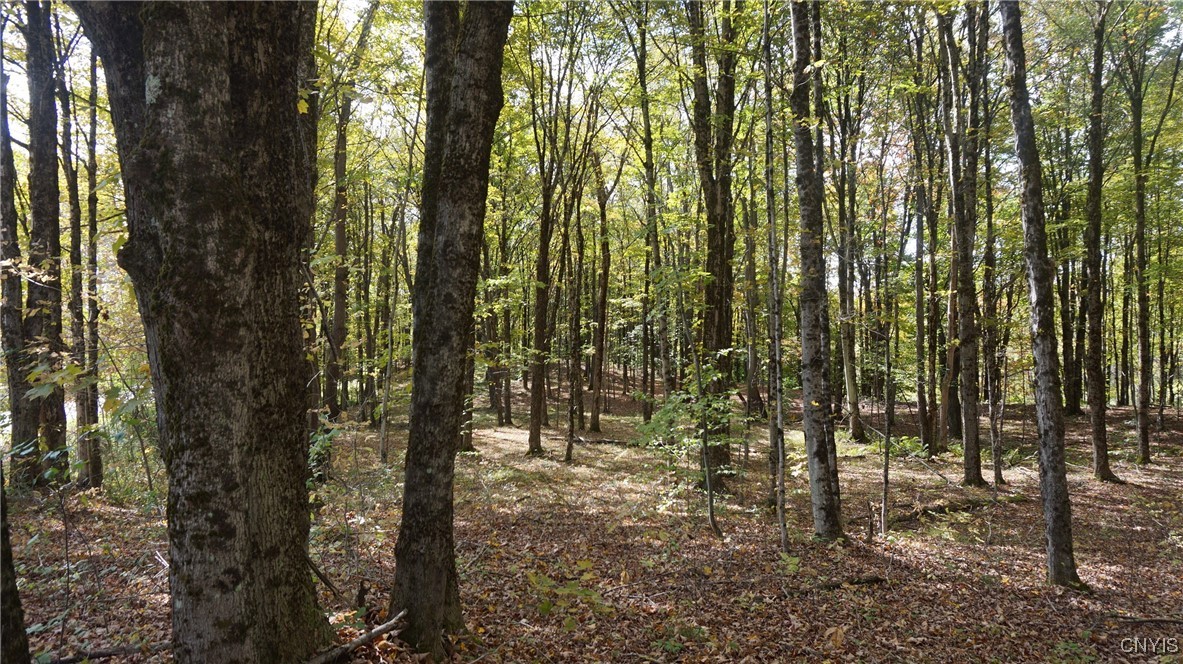 0 Mc Caw Road Redfield, NY 13437 - Photo 7 of 30