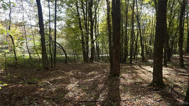 $69,900 | 0 Mc Caw Road, Redfield, NY 13437