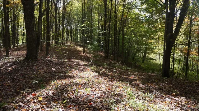 $69,900 | 0 Mc Caw Road, Redfield, NY 13437