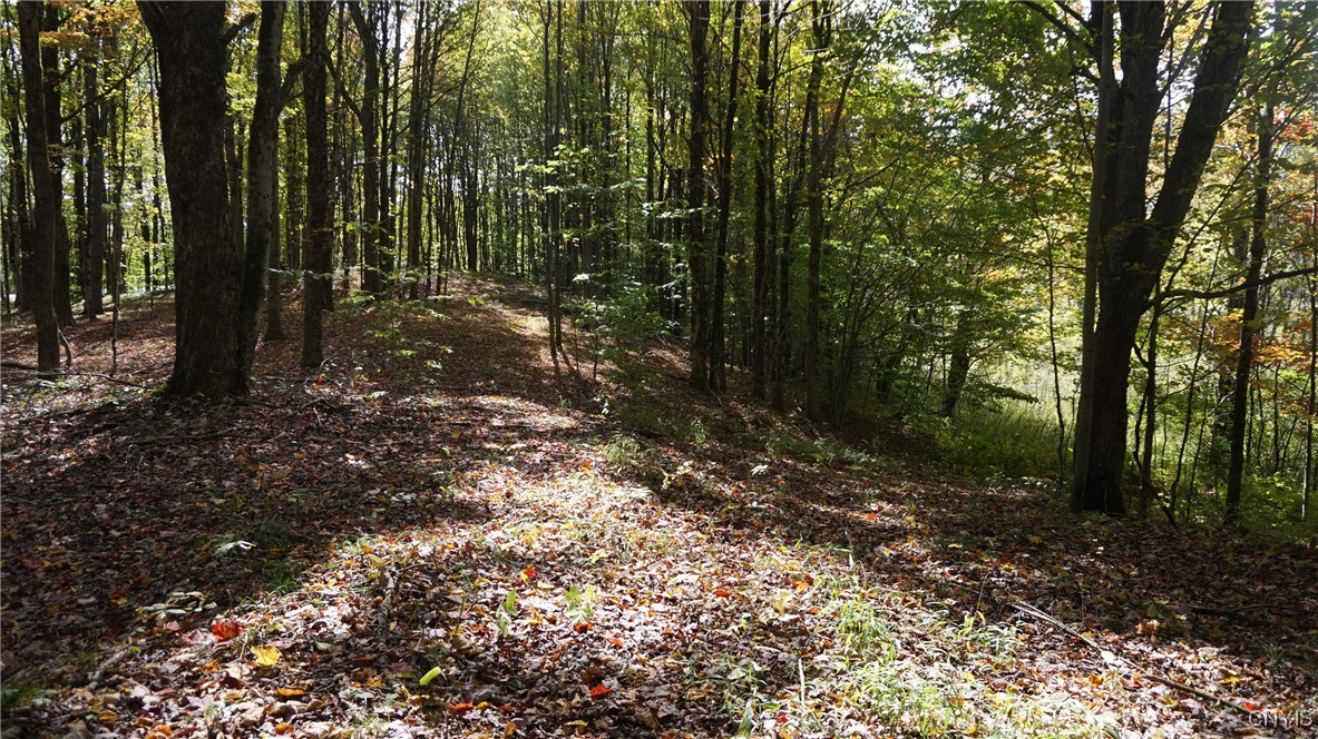 0 Mc Caw Road Redfield, NY 13437 - Photo 9 of 30