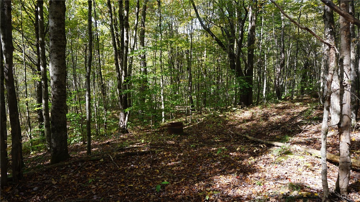 0 Mc Caw Road Redfield, NY 13437 - Photo 10 of 30