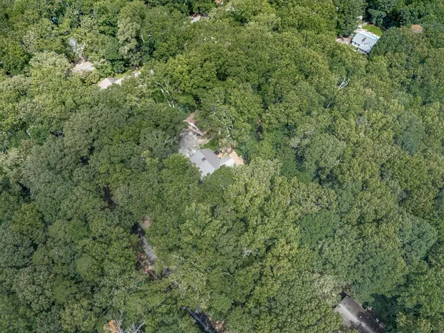 a view of a forest with a houses
