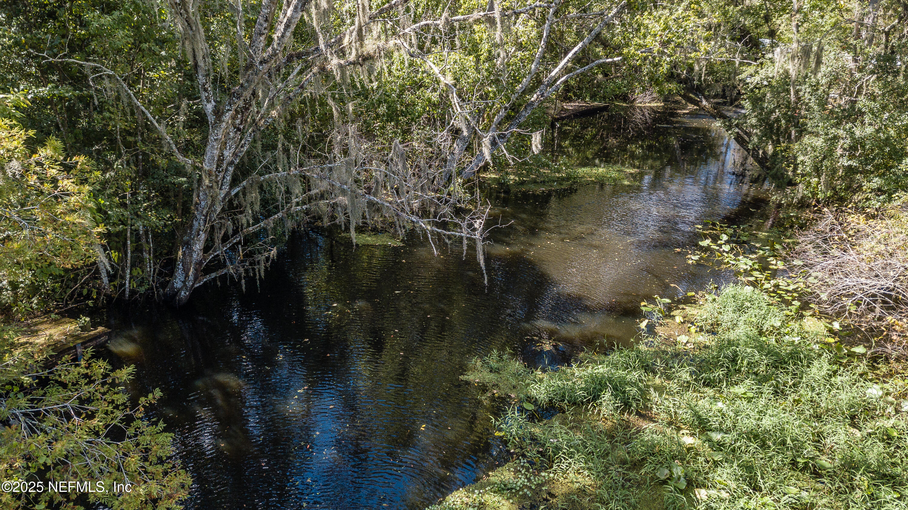 4141 Hillwood Road Jacksonville, FL 32223 - Photo 3 of 45 Creek