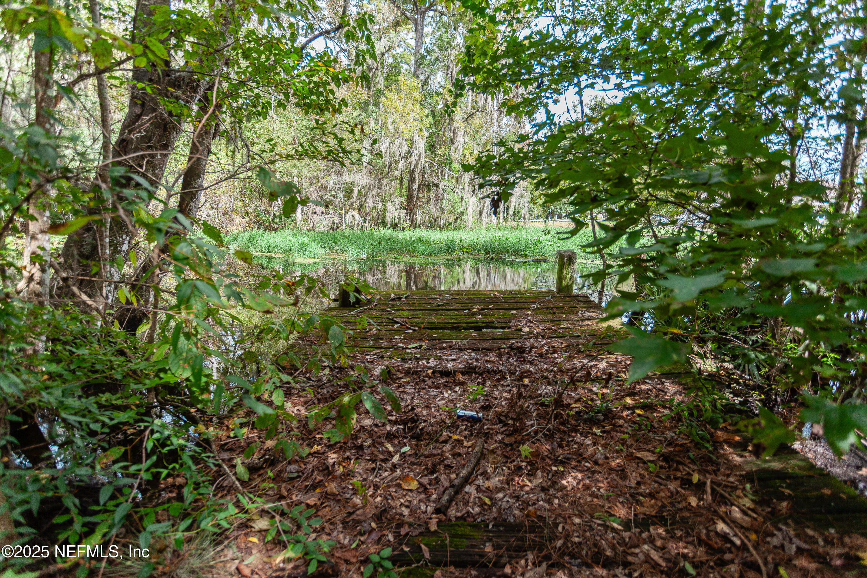 4141 Hillwood Road Jacksonville, FL 32223 - Photo 36 of 45 Dock