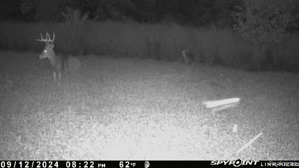 V/l Blake Road Jackson, MI 49202 - Photo 3 of 97 Gallery Image 3
