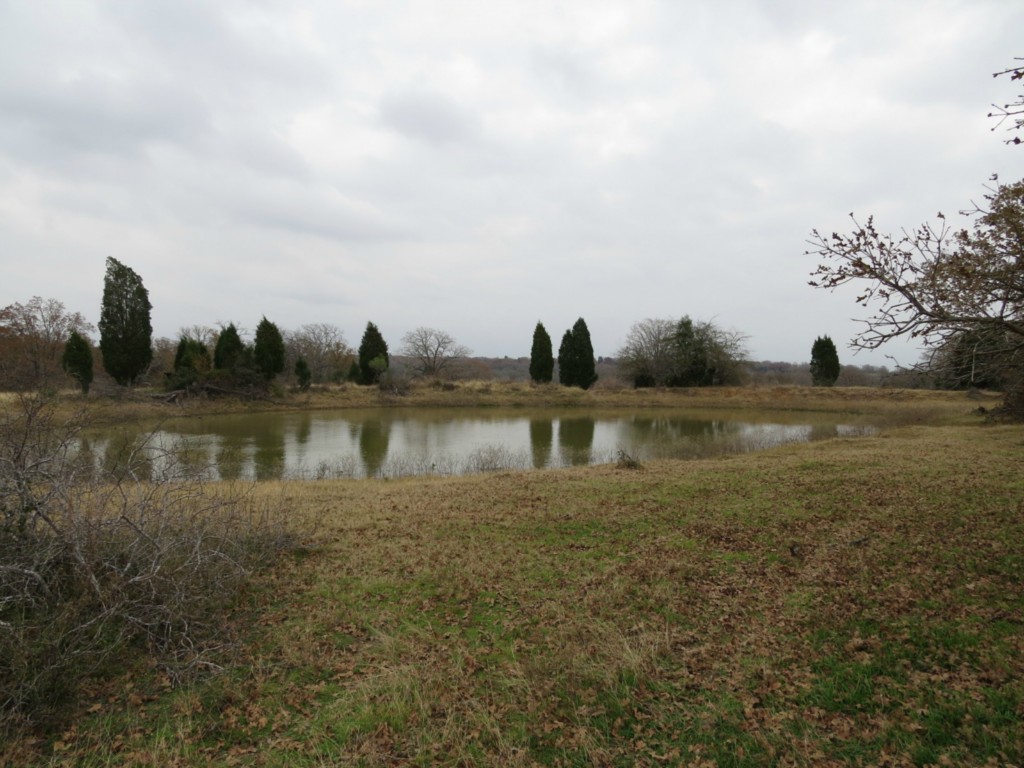 0 North County Line Road Elgin, TX 78621 - Photo 1 of 1 Gallery Image 1