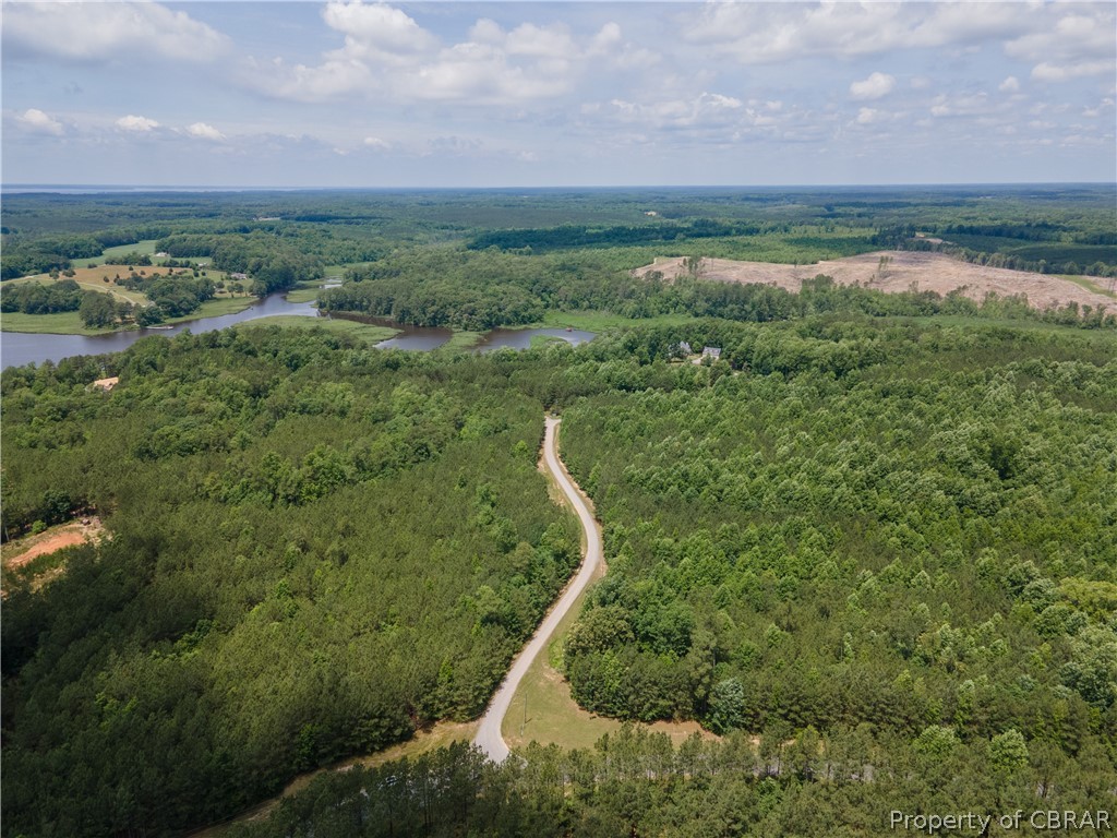 Lot 5 Avis Trail Lancaster, VA 22503 - Photo 7 of 9 a view of a green yard with large trees