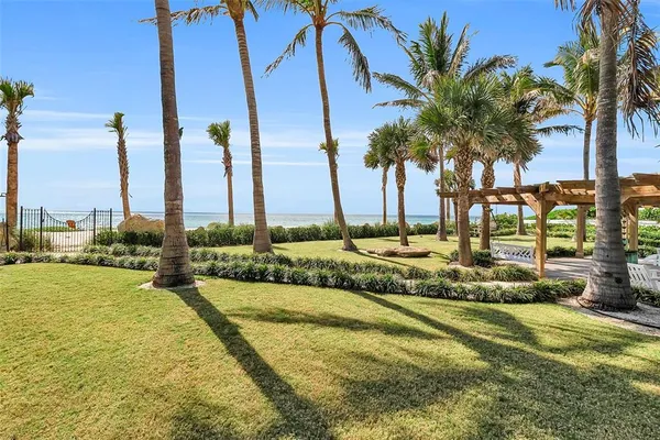 a view of a swimming pool with a lawn chairs and palm tree