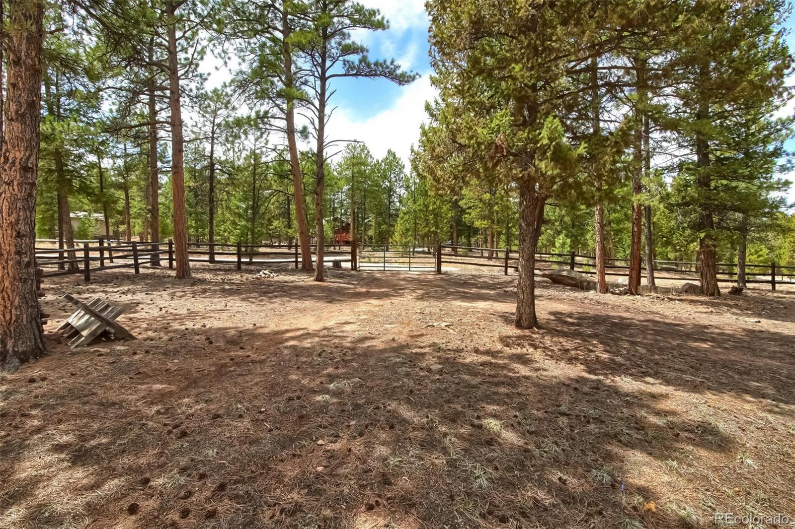 588 Dawson Road Pine, CO 80470 - Photo 26 of 35 Gallery Image 26
