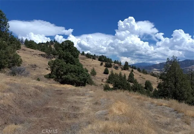 a view of a bunch of trees and houses