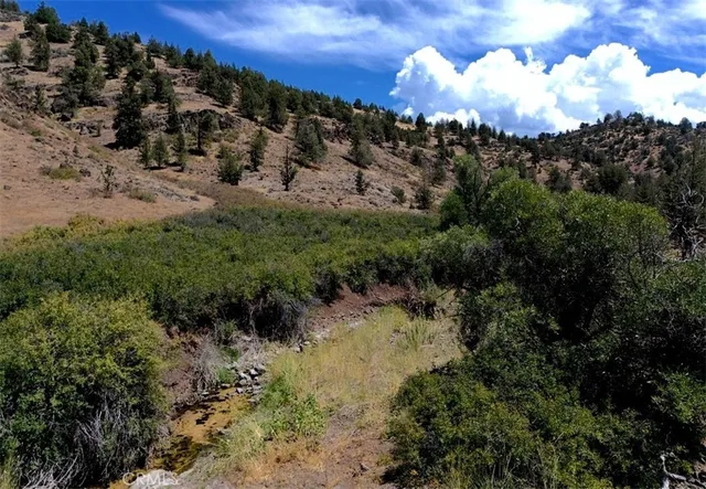 a view of outdoor space and trees