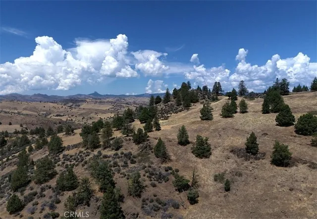 a view of a sky in the yard