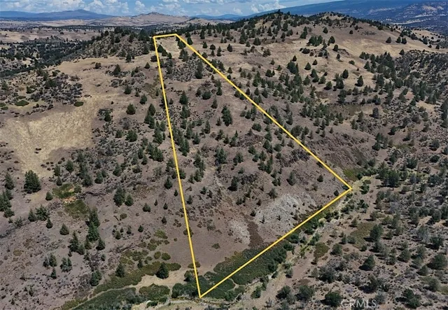 a view of a bench in the middle of a forest