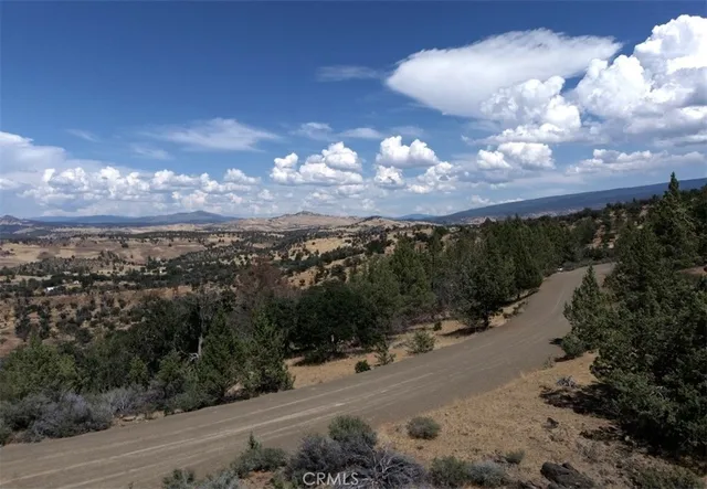 a view of a city with tall trees