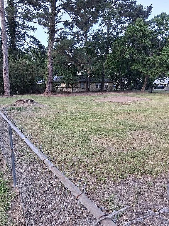390 Nelson Street Jasper, TX 75951 - Photo 3 of 13