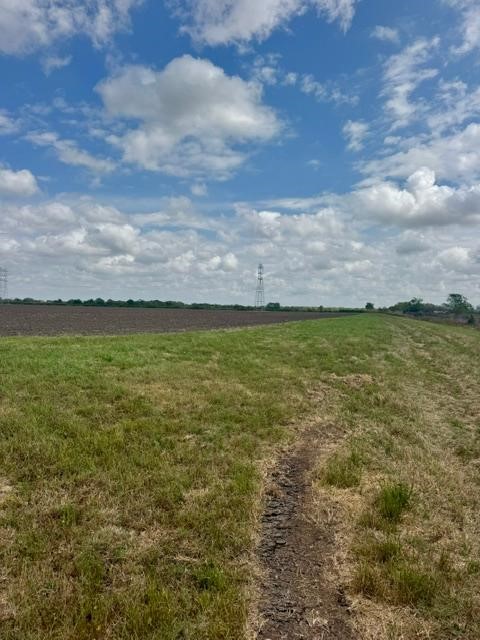 2020 County Road 49 Angleton, TX 77515 - Photo 12 of 13