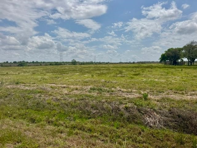 2020 County Road 49 Angleton, TX 77515 - Photo 4 of 13