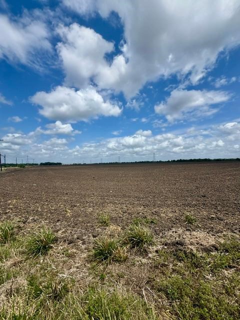 2020 County Road 49 Angleton, TX 77515 - Photo 7 of 13
