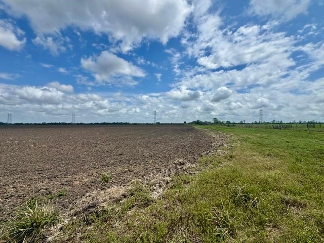 2020 County Road 49 Angleton, TX 77515 - Photo 8 of 13