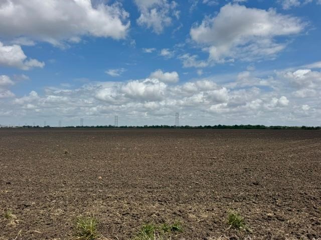 2020 County Road 49 Angleton, TX 77515 - Photo 9 of 13