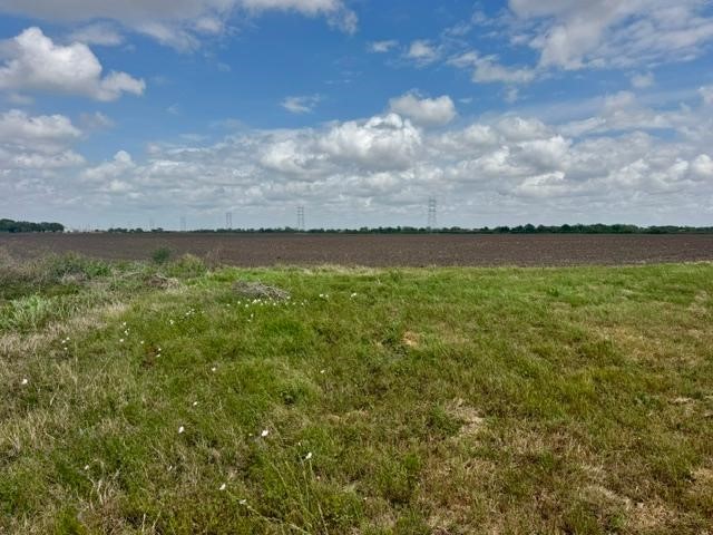 2020 County Road 49 Angleton, TX 77515 - Photo 10 of 13