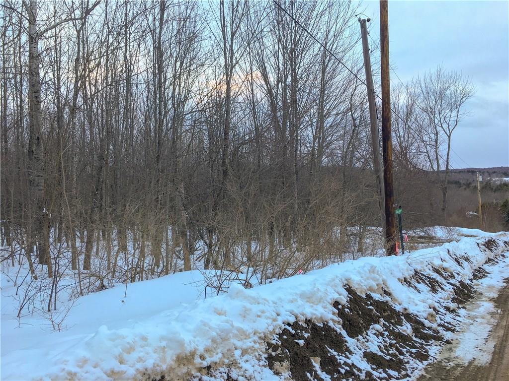 Map 2-lot Map 2-lot Dahlia Farm Road Monroe, ME 04951 - Photo 8 of 10 Some of the frontage on the Dahlia...